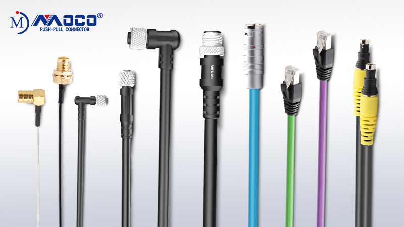 1774599906380816.jpg 800X450-1.jpg